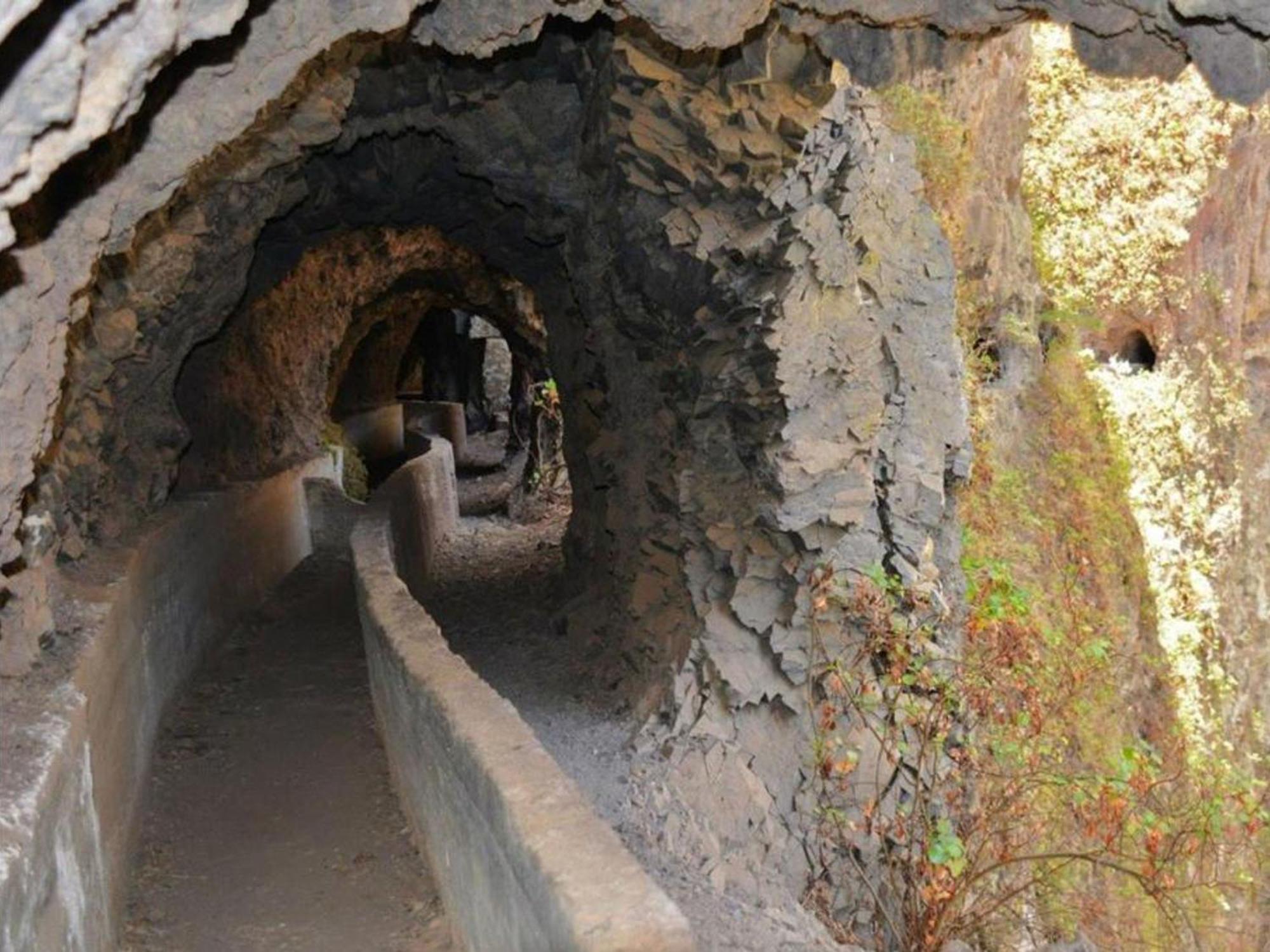 Live Puertito Muelle Daire Puertito de Guimar Dış mekan fotoğraf